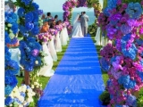 Wedding Theme Inspiration Photos